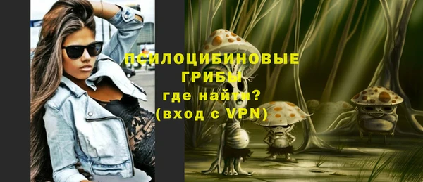 герыч Арсеньев