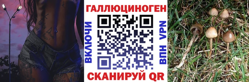Галлюциногенные грибы MAGIC MUSHROOMS  Байкальск 
